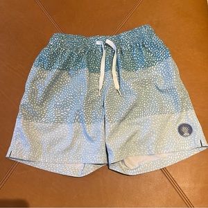 Chubbies Swim Trunk - Men’s Small